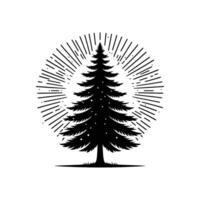 Silhouette of pine tree vector