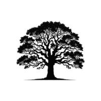 Oak tree logo illustration silhouette vector