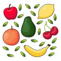 fruits vector illustration