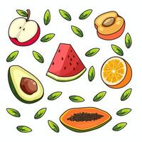 ilustración vectorial de frutas vector