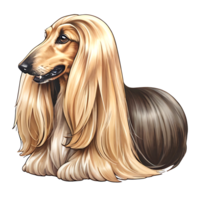 Afghan Hound Dog deaign png