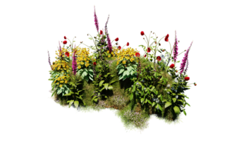 3d framställa olika typer av blommor gräs buskar buske och små växter på transparent bakgrund png