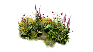 3D render various types of flowers grass bushes shrub and small plants on transparent background png