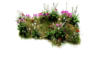 3D render various types of flowers grass bushes shrub and small plants on transparent background png