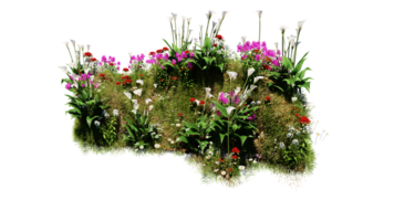 3d framställa olika typer av blommor gräs buskar buske och små växter på transparent bakgrund png