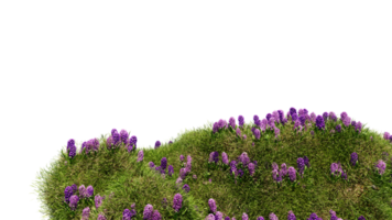 3D render various types of flowers grass bushes shrub and small plants on transparent background png