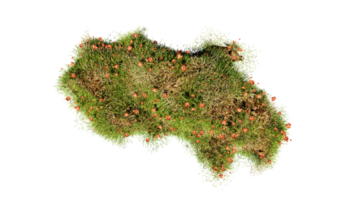 Top view of 3D render various types of flowers grass bushes shrub and small plants on transparent background png