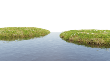 3D render of Stream and grass flower plants on transparent background png