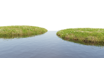 3D render of Stream and grass flower plants on transparent background png