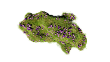 Top view of 3D render various types of flowers grass bushes shrub and small plants on transparent background png