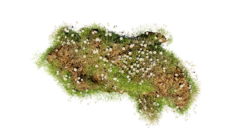 Top view of 3D render various types of flowers grass bushes shrub and small plants on transparent background png