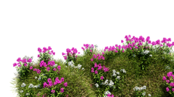 3D render various types of flowers grass bushes shrub and small plants on transparent background png