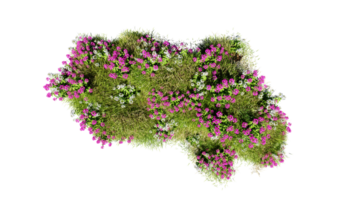 Top view of 3D render various types of flowers grass bushes shrub and small plants on transparent background png