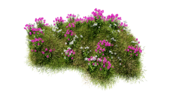 3D render various types of flowers grass bushes shrub and small plants on transparent background png