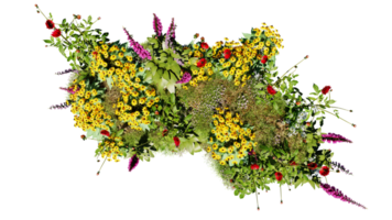 Top view of 3D render various types of flowers grass bushes shrub and small plants on transparent background png