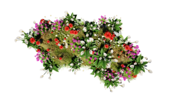 Top view of 3D render various types of flowers grass bushes shrub and small plants on transparent background png