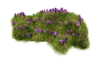 3D render various types of flowers grass bushes shrub and small plants on transparent background png