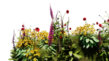 3D render various types of flowers grass bushes shrub and small plants on transparent background png