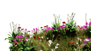 3D render various types of flowers grass bushes shrub and small plants on transparent background png