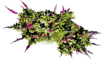 Top view of 3D render various types of flowers grass bushes shrub and small plants on transparent background png