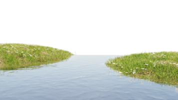 3D render of Stream and grass flower plants on transparent background png