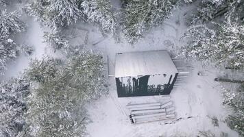 antenne visie van een klein huis met driehoekig dak in de buurt sneeuw gedekt bomen. klem. eenzaam onderdak voor extreem wandelaars of jagers. video