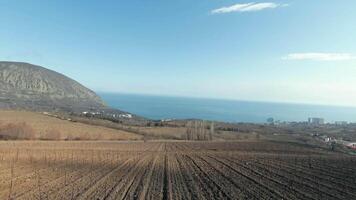 Antenne natürlich Landschaft von ein hügelig Region und schön Blau Meer auf ein Sommer- sonnig Tag. Schuss. fliegend über Grün Hügel und Landwirtschaft Felder gegenüber das Meer. video