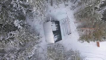 a velho de madeira construção dentro a meio do uma Nevado floresta, conceito do solidão. grampo. aéreo topo Visão do uma pequeno casa cercado de neve coberto árvores e branco chão. video