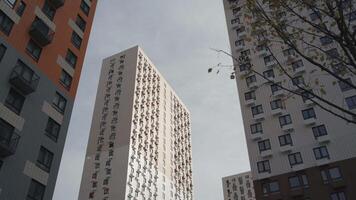 bodem visie van woon- complex met kleurrijk en wit hoog stijgen gebouwen. actie. nieuw multi verdieping gebouwen Aan blauw lucht achtergrond en een boom met de bladeren golvend in de wind. video