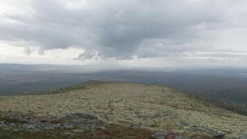 flygande ovan fyra vandrare stående på de grön kulle topp och höjning händer tillsammans. klämma. antenn se av turister på en berg topp i främre av de skog dal och molnig himmel. video