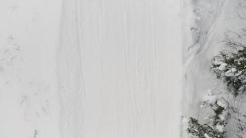 aéreo topo Visão do vermelho moto de neve dentro neve coberto inverno floresta dentro rural Finlândia, lapland. grampo. conceito do extremo esporte e ativo estilo de vida. video
