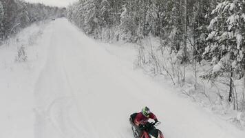 Hommes sur motoneige ayant amusement et équitation dans hiver paysage. agrafe. aérien vue une homme sur rouge motoneige en mouvement par neigeux vide route vers caméra. video