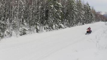 inverno Nevado panorama com estrada e moto de neve equitação ao longo abeto árvore floresta. grampo. conceito do inverno Esportes Atividades e ativo estilo de vida. video