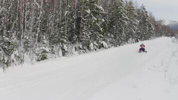 antenne visie van rood sneeuwscooter in sneeuw gedekt winter Woud in landelijk Finland, Lapland. klem. concept van extreem sport en actief levensstijl. video