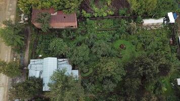 Village in the countryside district with greenery and old small houses. Stock footage. Aerial top view of rustic landscape with a garden and green lawn. video