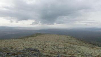 flygande ovan fyra vandrare stående på de grön kulle topp och höjning händer tillsammans. klämma. antenn se av turister på en berg topp i främre av de skog dal och molnig himmel. video