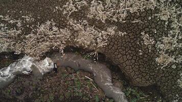 Running stream among stones and dry bushes in the botanic garden. Shot. Aerial top view of a fast flowing mountainous river flowing along dry soil. video