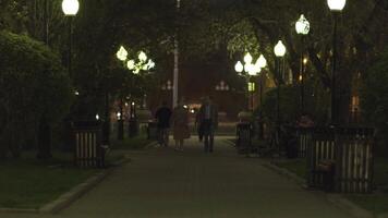 mensen wandelen langs groen struiken, bomen, straat lantaarns in een stad park. voorraad filmmateriaal. wandelen naar beneden de steeg laat in de zomer avond. video