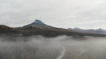 Aerial view over wild river and forest in beautiful scenery. Clip. Foggy day in mountains on an autumn day with mixed forest and bright cloudy sky. video