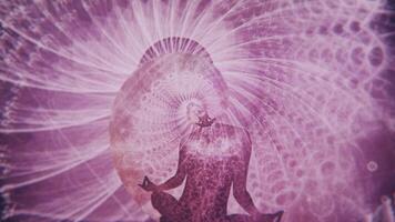 Silhouette von ein Yogi im ein Lotus Asana auf das Hintergrund von ein rotierend Rosa Hintergrund. Animation. Konzept von golden Verhältnis und selbst Wissen. video