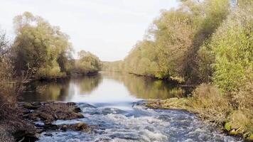 een snel vloeiende rivier- omringd door weelderig groen bomen en gebladerte. . antenne visie van een snel vloeiende rivier- met steenachtig bodem Aan een zomer zonnig dag. video