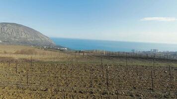 Plowed fields on background of sea. Shot. Top view of farm fields with new seedlings in spring season. Farm fields on background of mountain coast on sunny day video