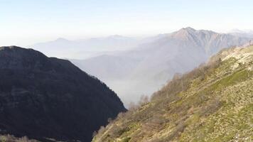 aérien vue de Alpes montagnes sur une été ensoleillé journée. hdr. magnifique sauvage la nature avec Montagne intervalle couvert par vert herbe. video