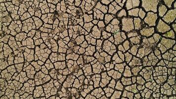 Aerial view of a dry lake with rare green plants growing from deep cracks. Shot. Dried soil texture, concept of global warming and drought. video