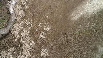 Aerial view of a dry lake bottom with deeply cracked soil and a small water spring. . Unusual texture with many cracks in the ground, concept of weather change and global warming. video