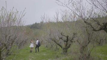 magnifique jeunes mariés en marchant dans la nature dans forêt. action. Jeune couple de jeunes mariés sont en marchant dans nuageux temps dans la nature. élégant jeunes mariés dans moderne tenues marcher dans forêt video