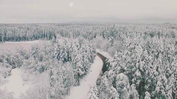 aéreo ver de un nieve cubierto vacío la carretera y invierno bosque. escena. natural antecedentes con mezclado bosque creciente a lo largo el la carretera. video