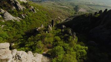 extreem vlucht tussen berg rotsen. schot. snel vlucht Bij rotsachtig formaties Aan berg hellingen. vlieg Leuk vinden wingsuit Aan rotsachtig hellingen van groen bergen video