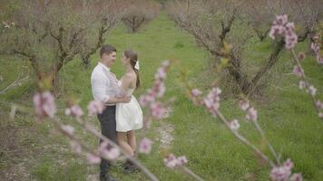 Newlyweds embrace at tree in spring. Action. Tender glances and embraces of newlyweds on background of nature. Couple of bride and groom embrace at spring tree video