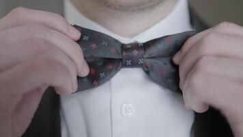 Close-up of gentleman adjusting bow tie. Action. Attractive man epicly adjusts bow tie on suit. Gentleman gracefully and courageously adjusts bow tie video